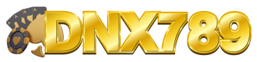 dnx789-logo